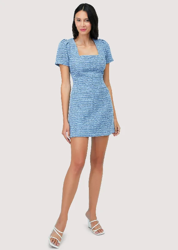 Meridian Mini Dress Chic Sleeveless Mini Dress